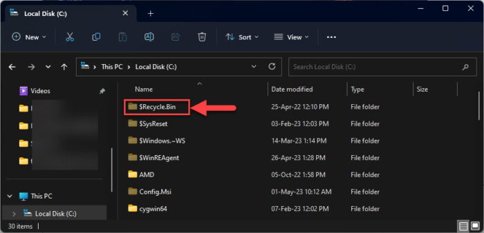 Access the Recycle Bin hidden directory