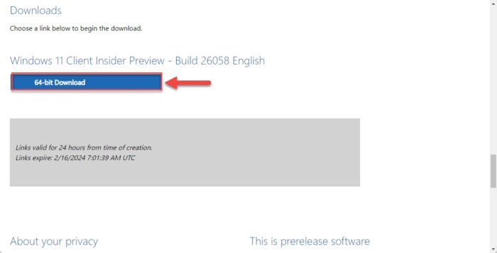 Download Windows 11 24H2 ISO image