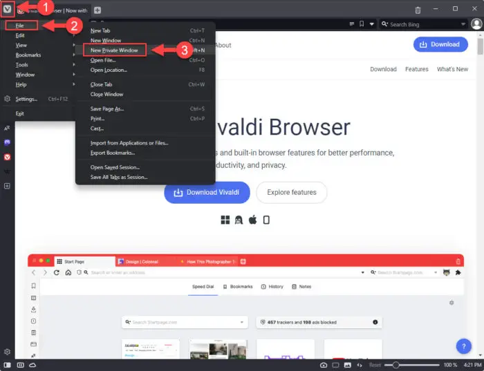 How To Open A Browser In Safe Mode 9 Open new private window in Vivaldi