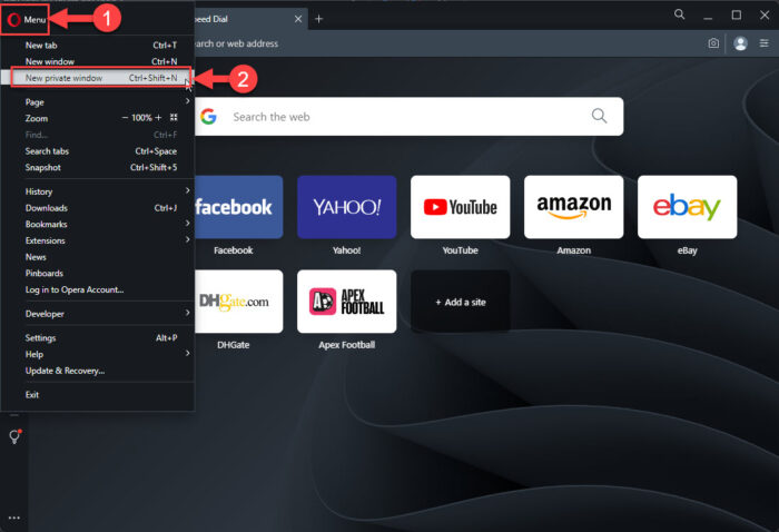 How To Open A Browser In Safe Mode 8 Open private window in Opera