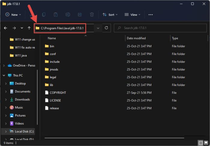 How to Install Java on Windows 11 7 path