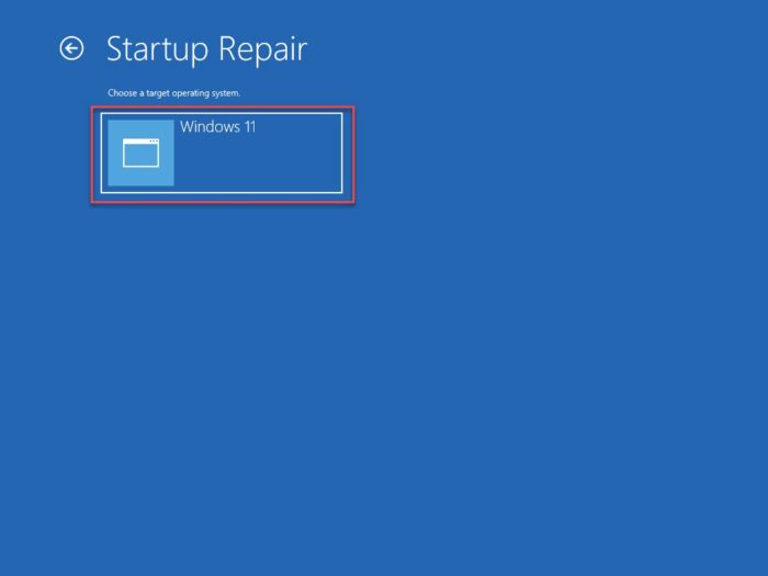 Select OS startup repair