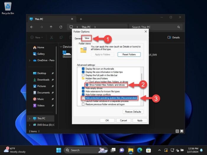 Show hidden and protected files