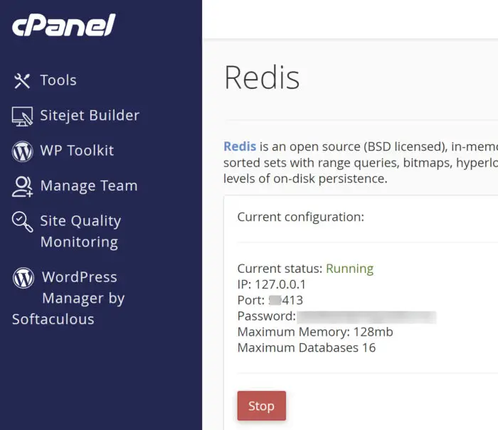 Starting Redis Server
