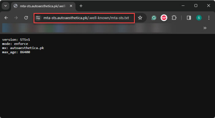 What Is MTA-STS And How To Configure It For Email Security 5 View MTA STS policy text file from web browser